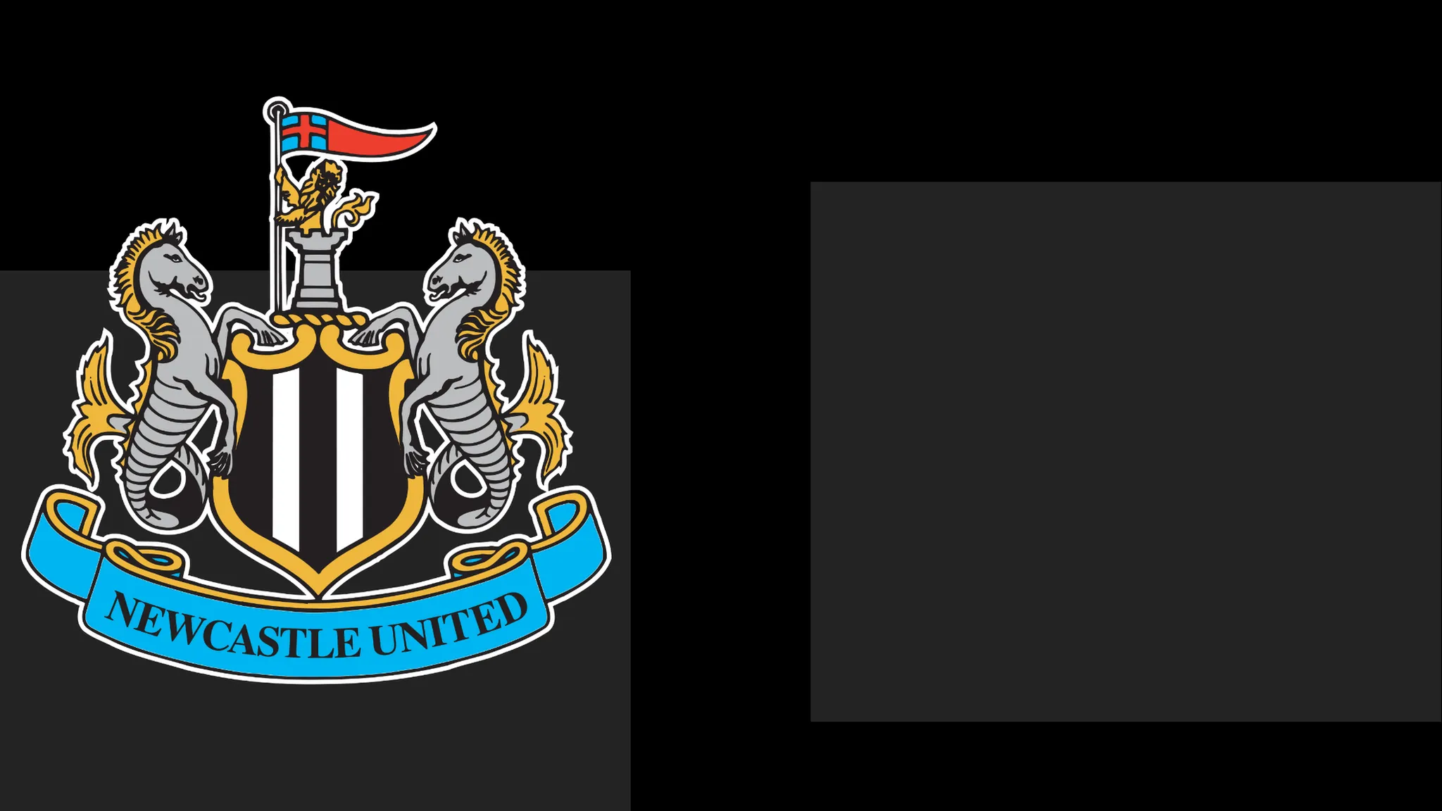 Newcastle Issue Statement of Regret to Followers Over Season Ticket Issue