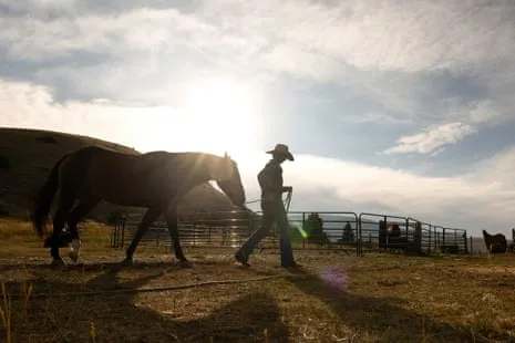 Get to Know the US Women Ranchers Transforming Modern Ranch Life