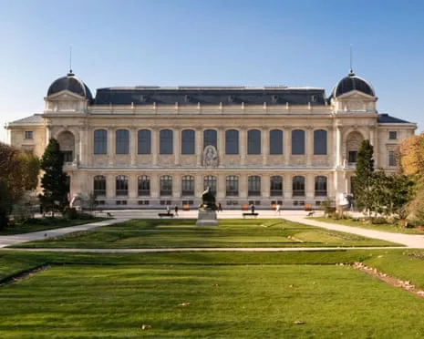 Historic Golden Samples Taken in Daring Raid at French National Institution