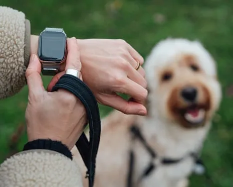 The Truth Regarding Wearable Tech? Living Feels Fuller Devoid of a Bossy Zealot on Your Arm